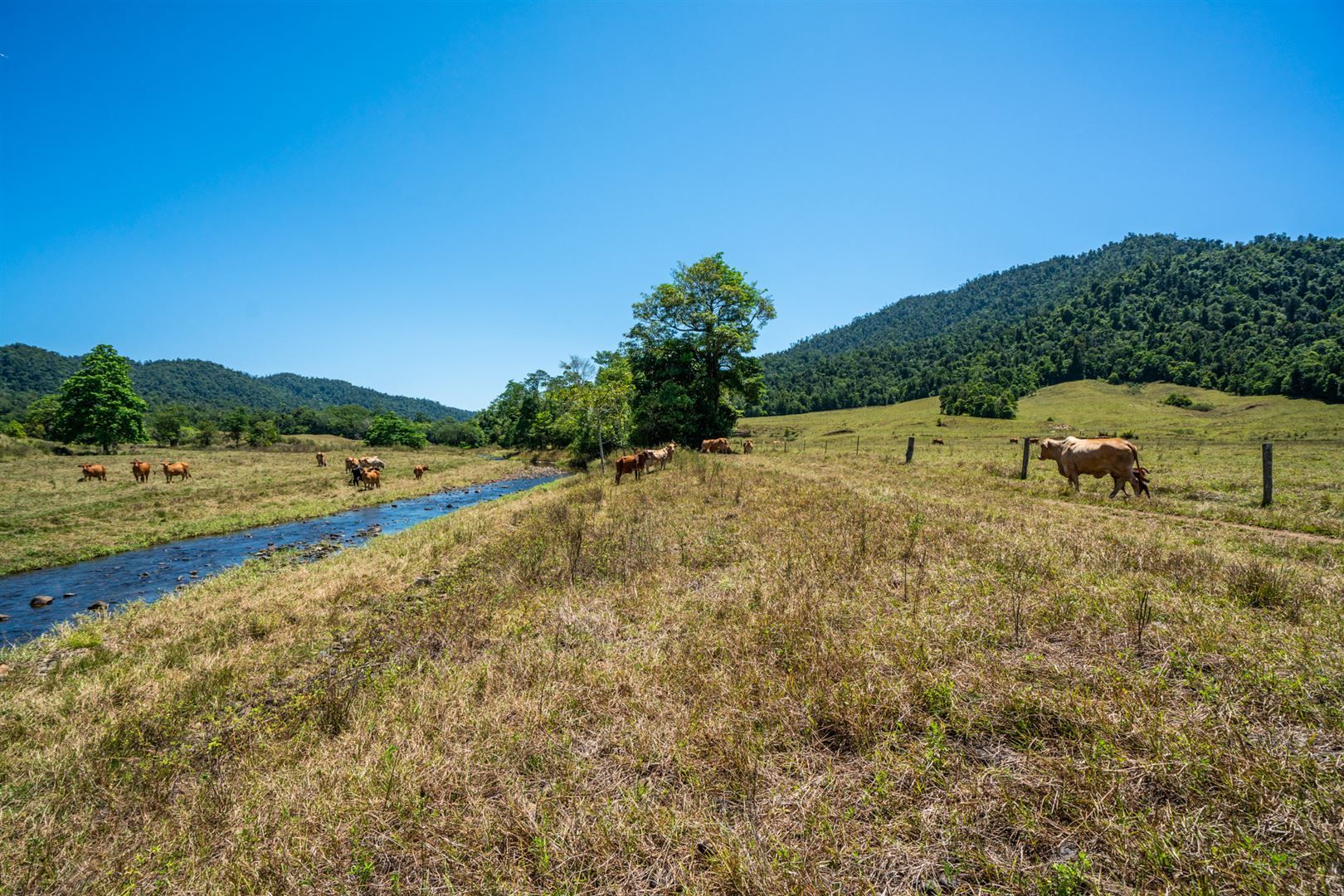 Japoonvale QLD 4856, Image 0