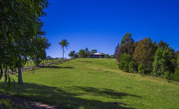 Lot 16 Glen Ayr Road, Girvan NSW 2425, Image 2