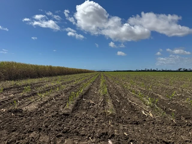 Image 13