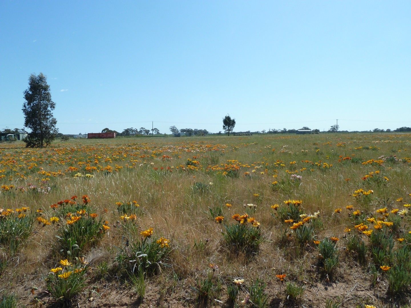 Lots 74&75 Gibson Street, Korong Vale VIC 3520 House for Sale 52,000