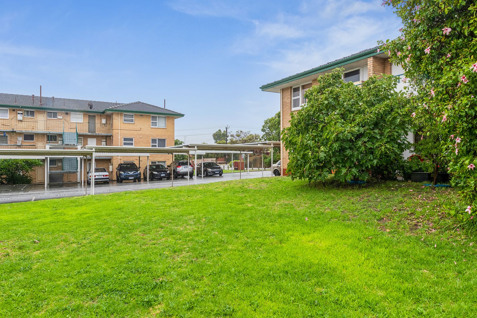 17/29 Moldavia Close, Tuart Hill WA 6060, Image 1