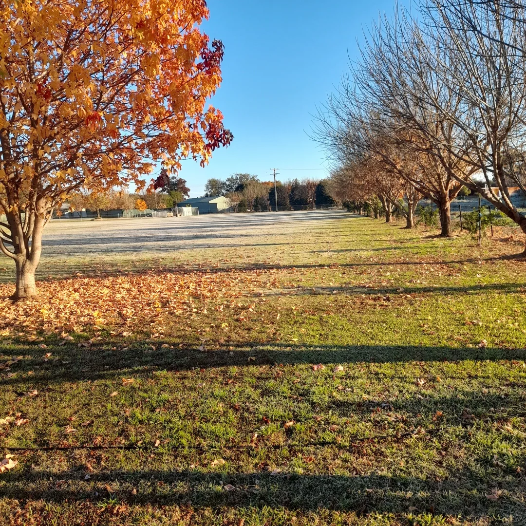 Image 12