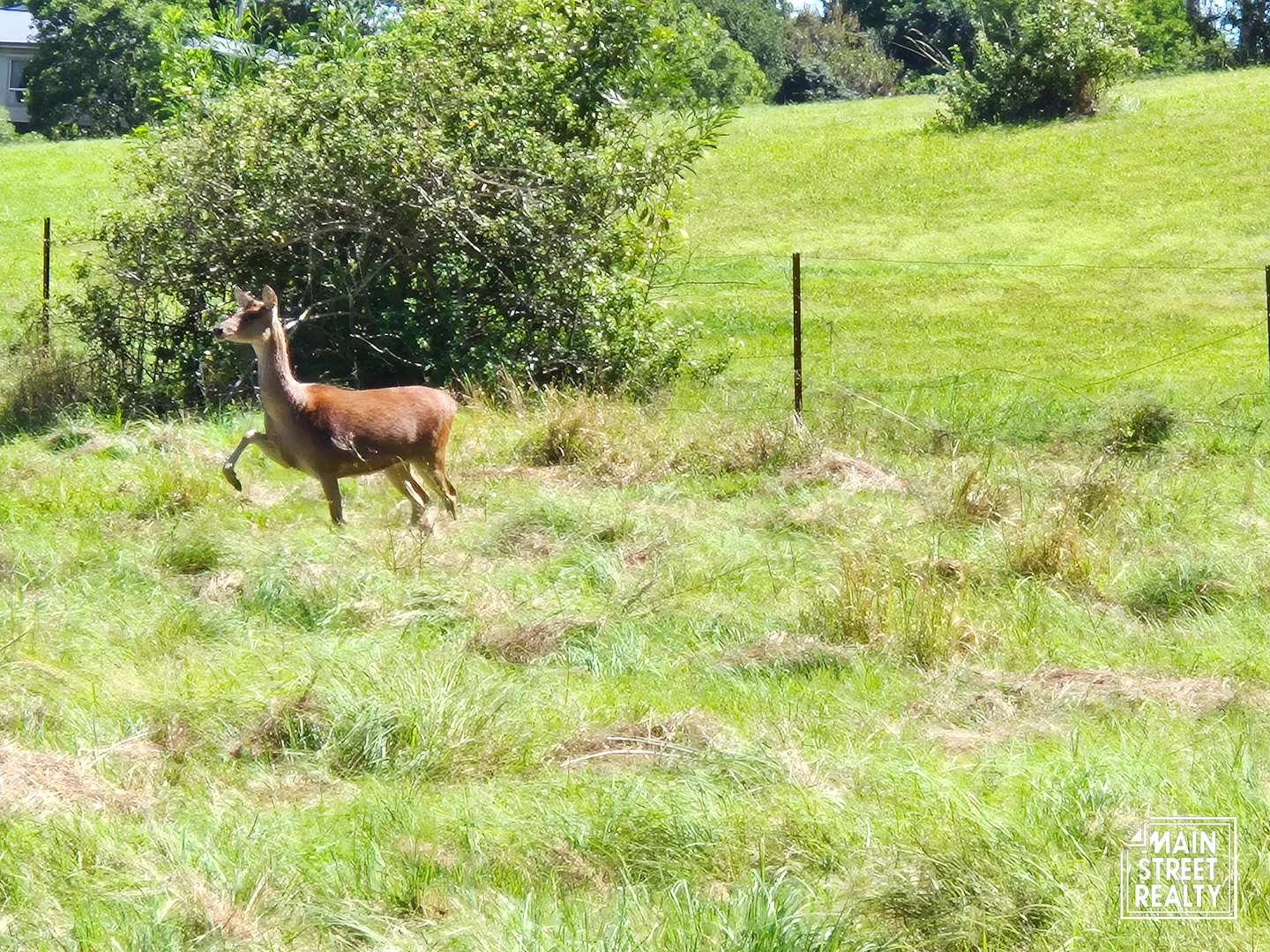 Additional image 6 of Lot 4 Greenhills Drive, Blackbutt QLD 4314