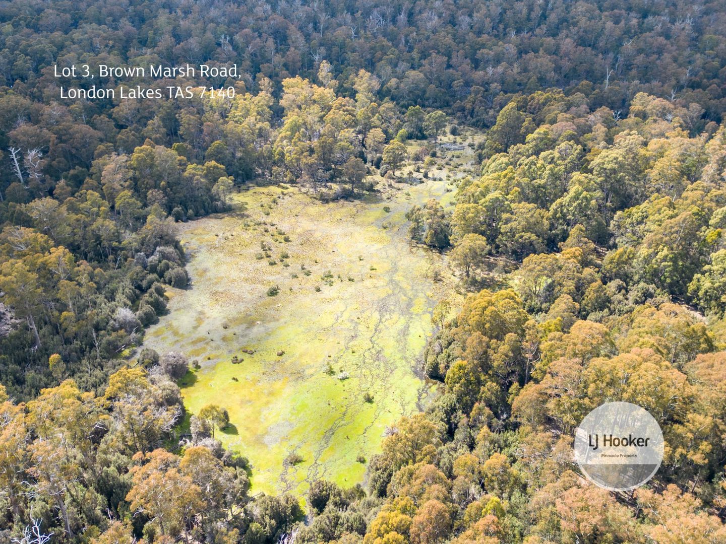 Lot 3 Brown Marsh Road, London Lakes TAS 7140, Image 1