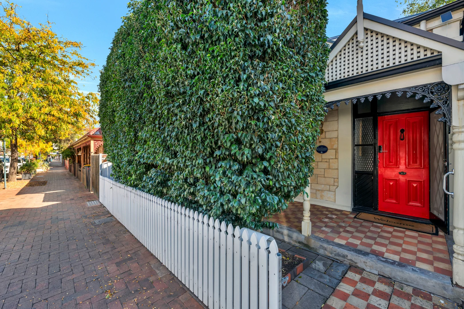 Image 12