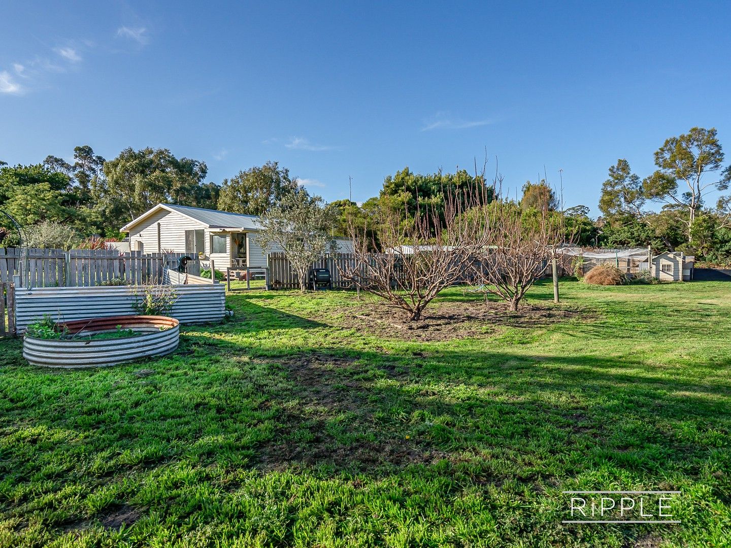 9 Young Street, Carlton TAS 7173, Image 0