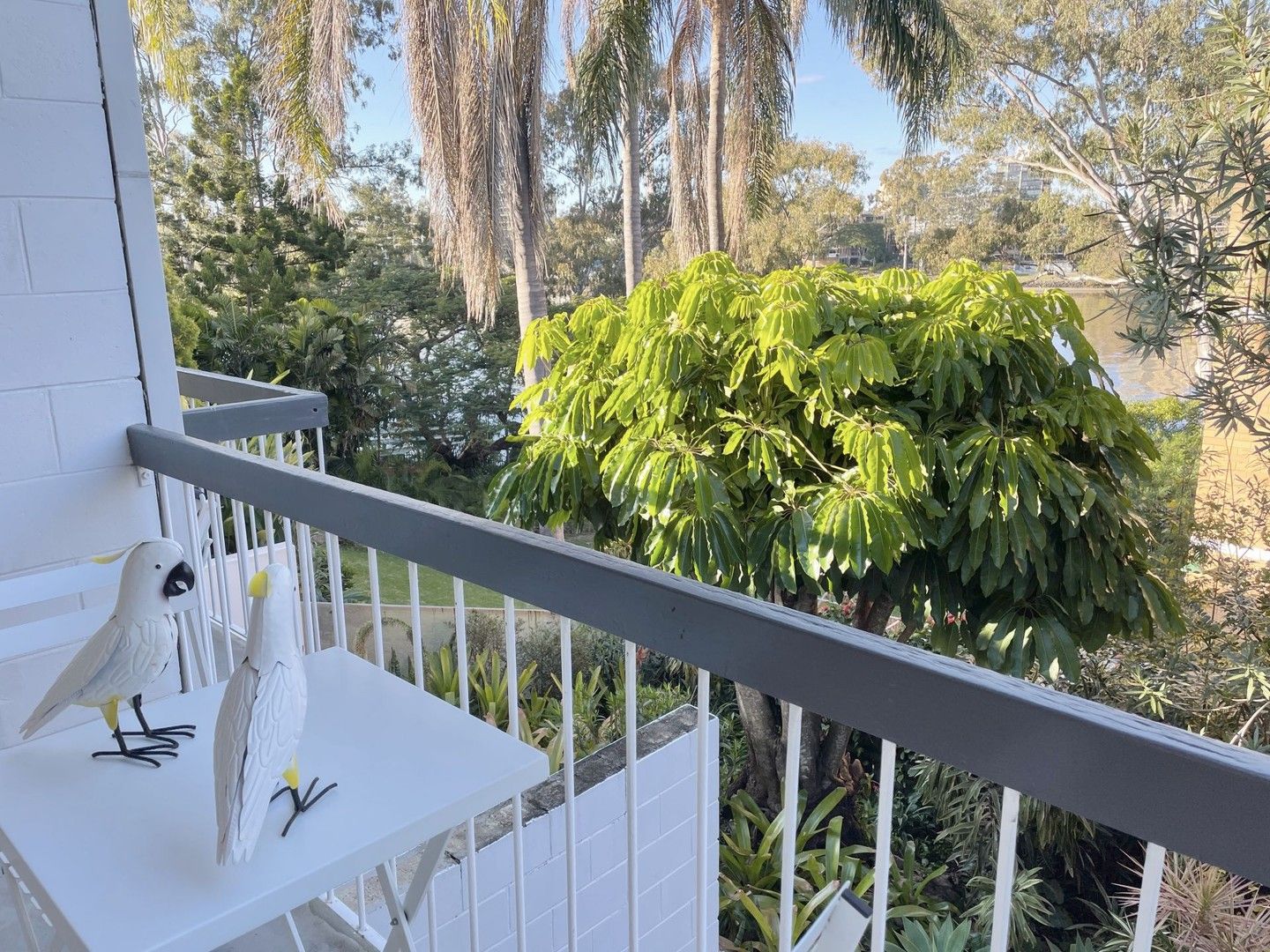 2 bedrooms Apartment / Unit / Flat in 6/85 Ryan St WEST END QLD, 4101