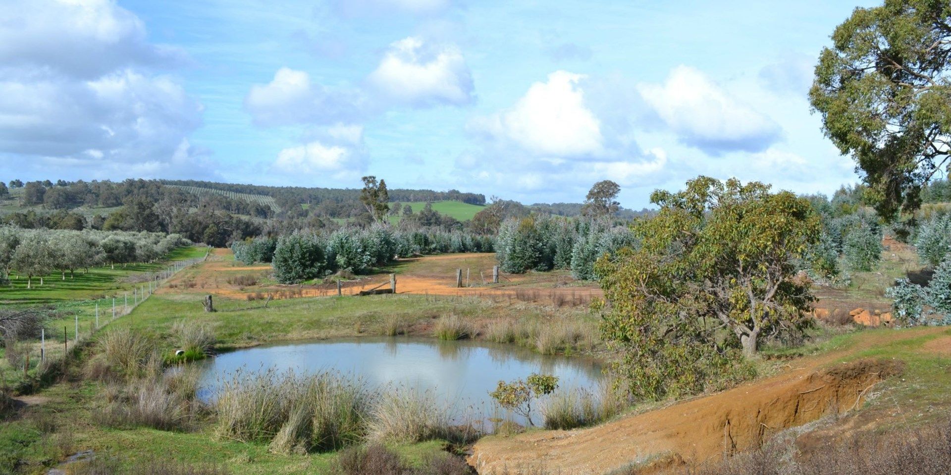 Lot 1 Donnybrook-Boyup Brook Road, Mumballup WA 6225, Image 0