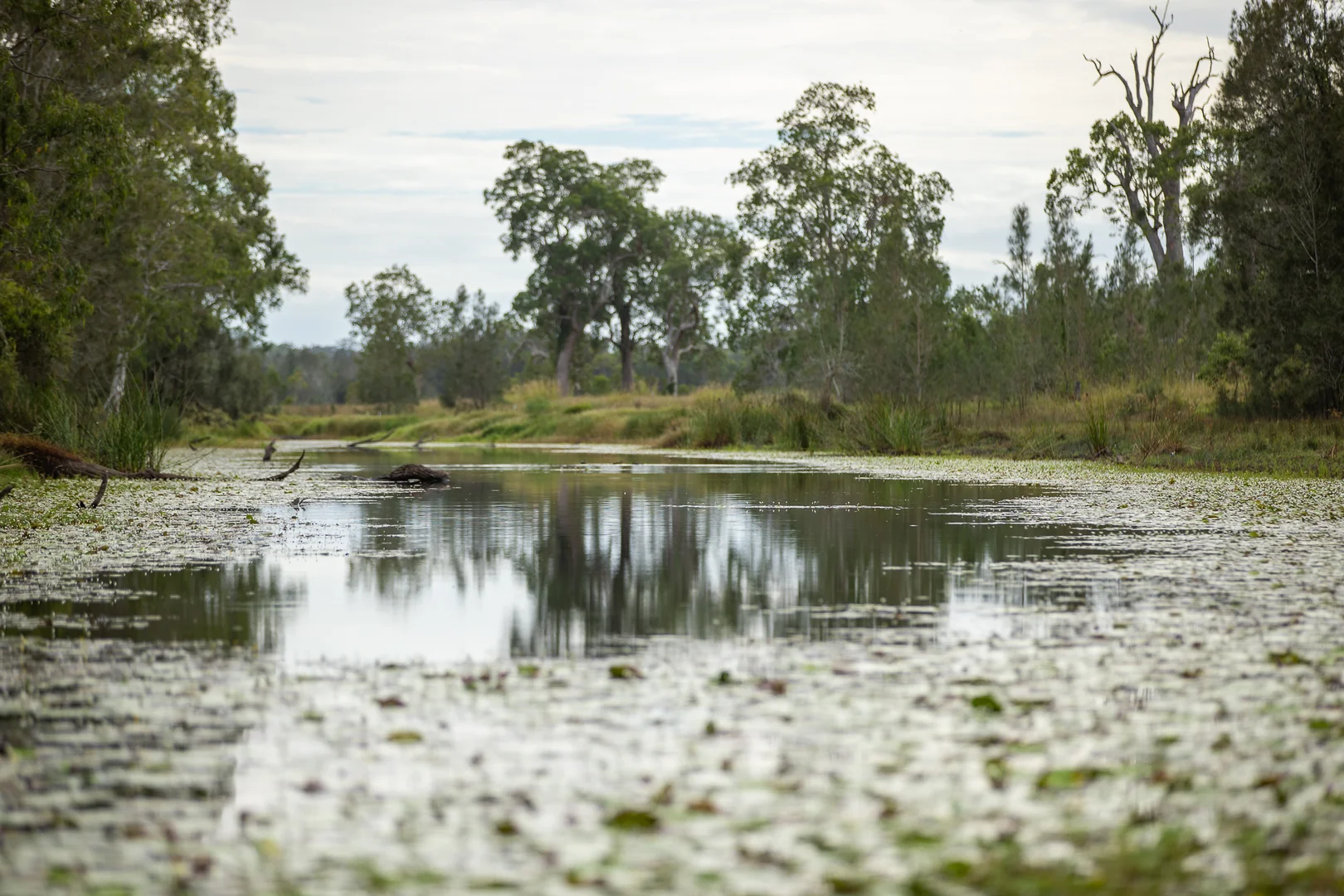 Additional image 21 of 58 Boormans Lane, Grafton NSW 2460