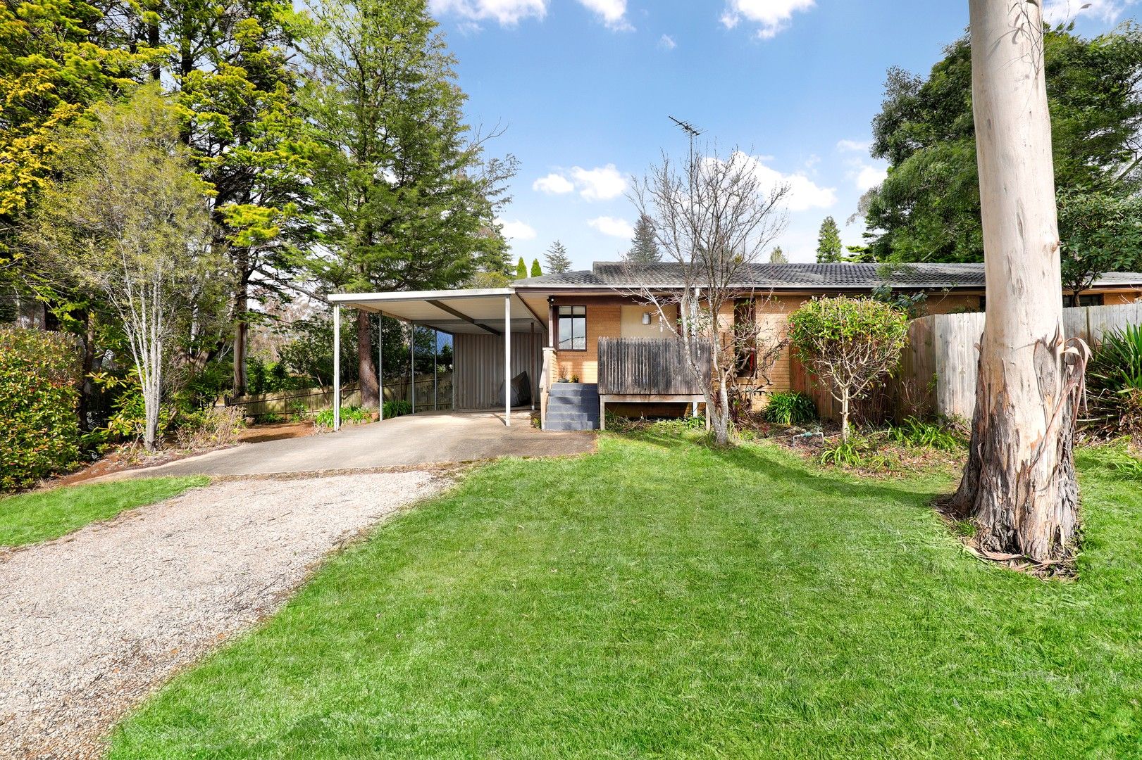 4 bedrooms House in 242 Hat Hill Road BLACKHEATH NSW, 2785