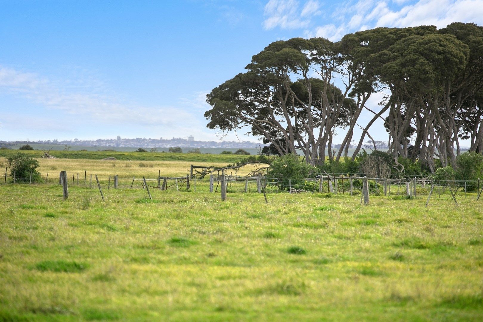 13 Glyndon Court, Barwon Heads VIC 3227, Image 1