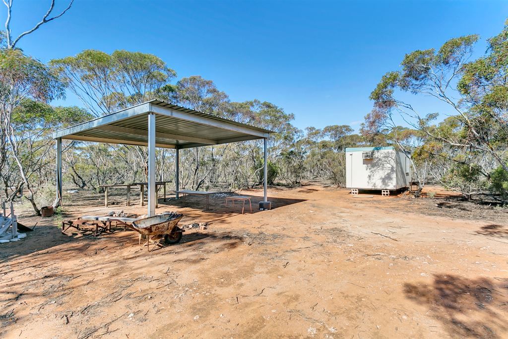 Lot 9 Old Punyelroo Road, Swan Reach SA 5354, Image 1