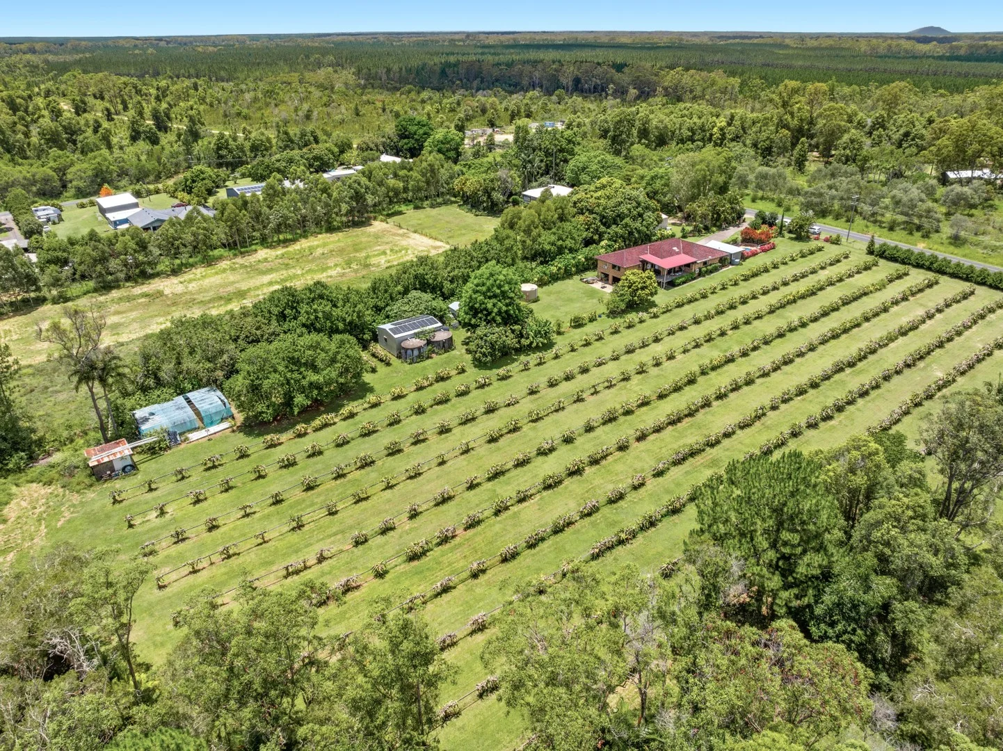 Primary image of 109 Fraser Road, Beerwah QLD 4519