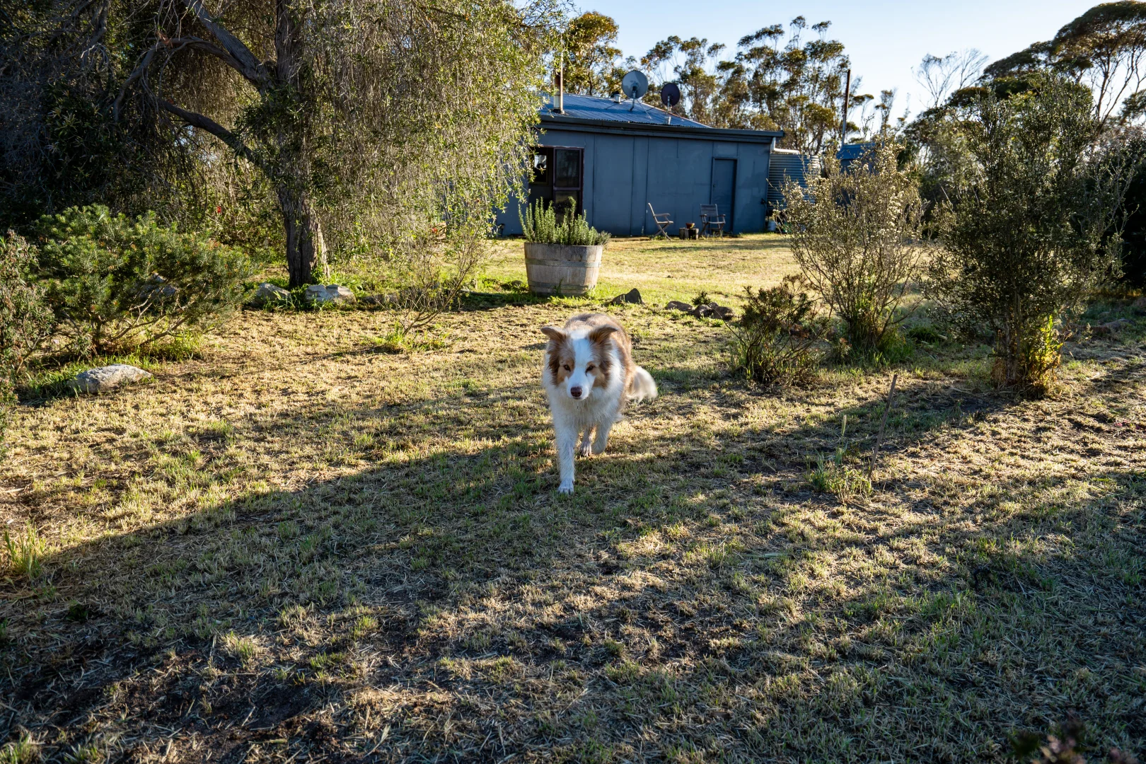 5566 Tieline Road, Gnowangerup WA 6335 - Farm for Sale | Domain