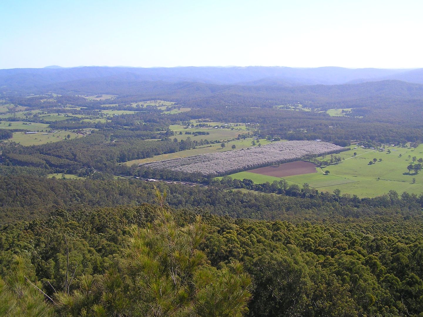 1604 Orara Way, Nana Glen NSW 2450 House for Sale 1,680,000