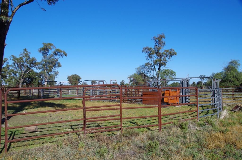 . Stumpy Lane, Wee Waa NSW 2388, Image 0