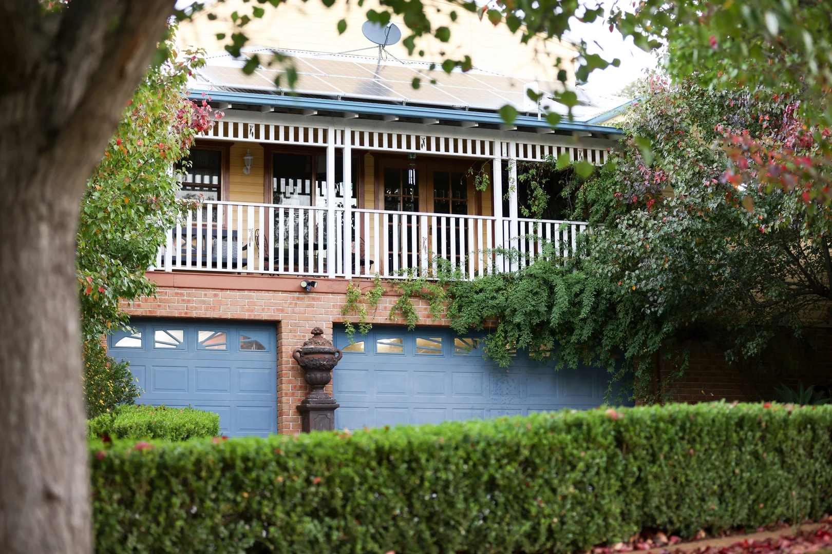 Image 12