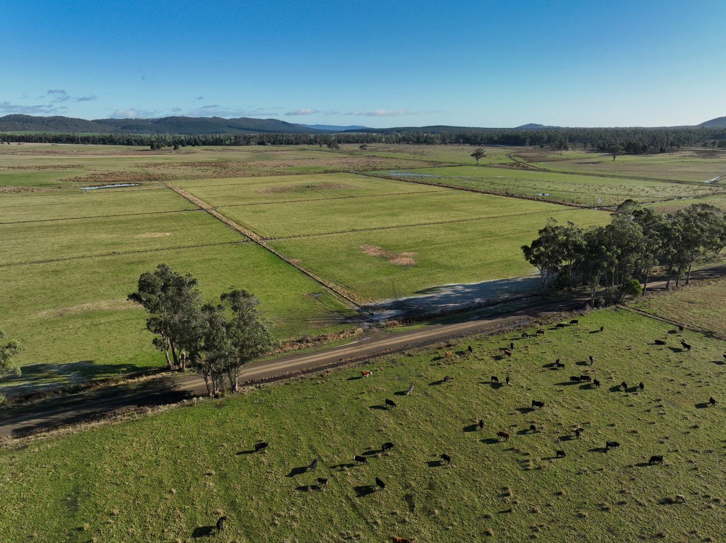 Avenue Road, Parkham TAS 7304, Image 1