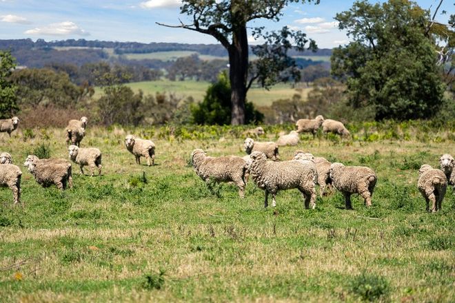 Picture of 169 Boorowa Road, CROOKWELL NSW 2583