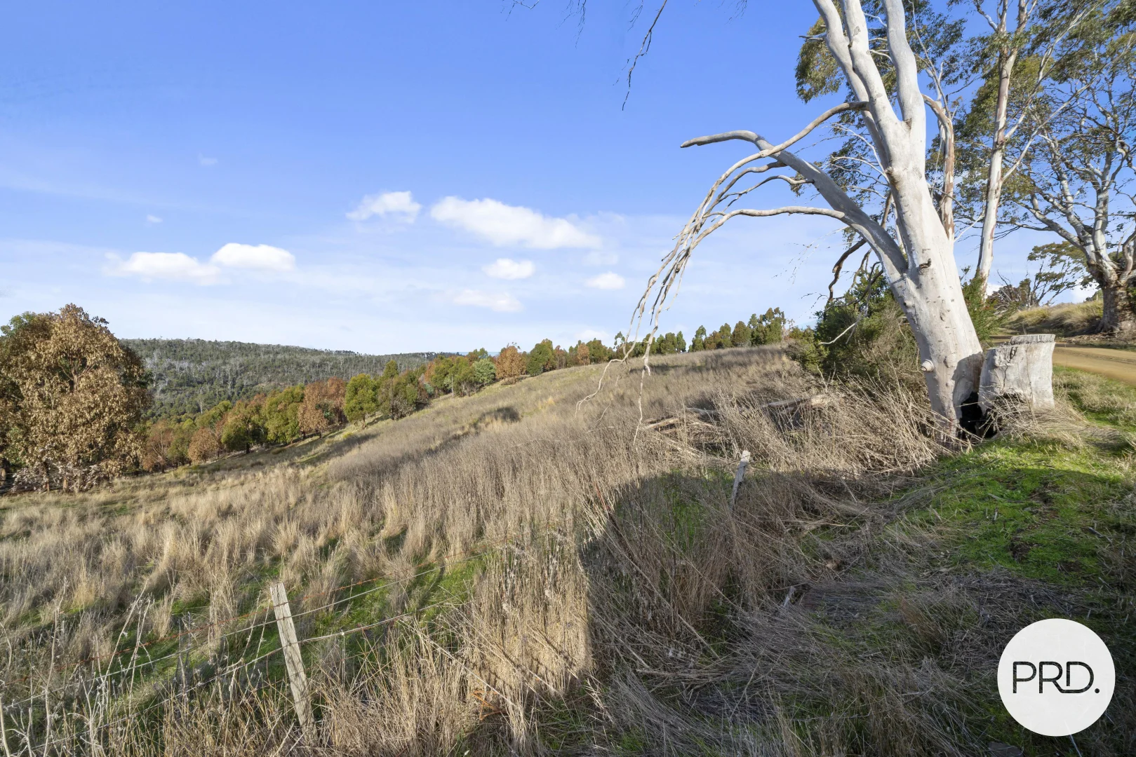 Image 15