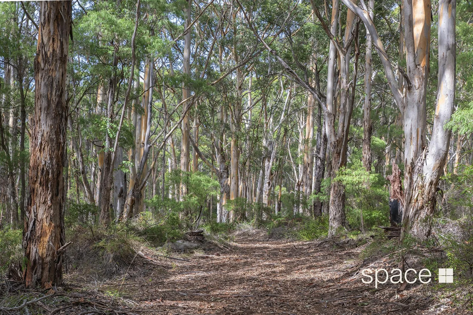 Additional image 11 of Lot 101 Bushby Road, Karridale WA 6288