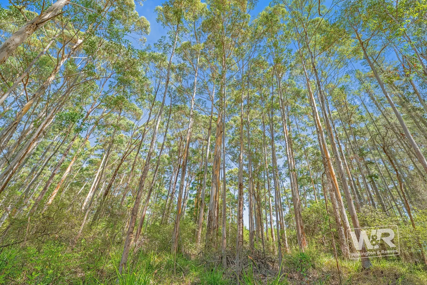 Additional image 2 of Shadforth WA 6333