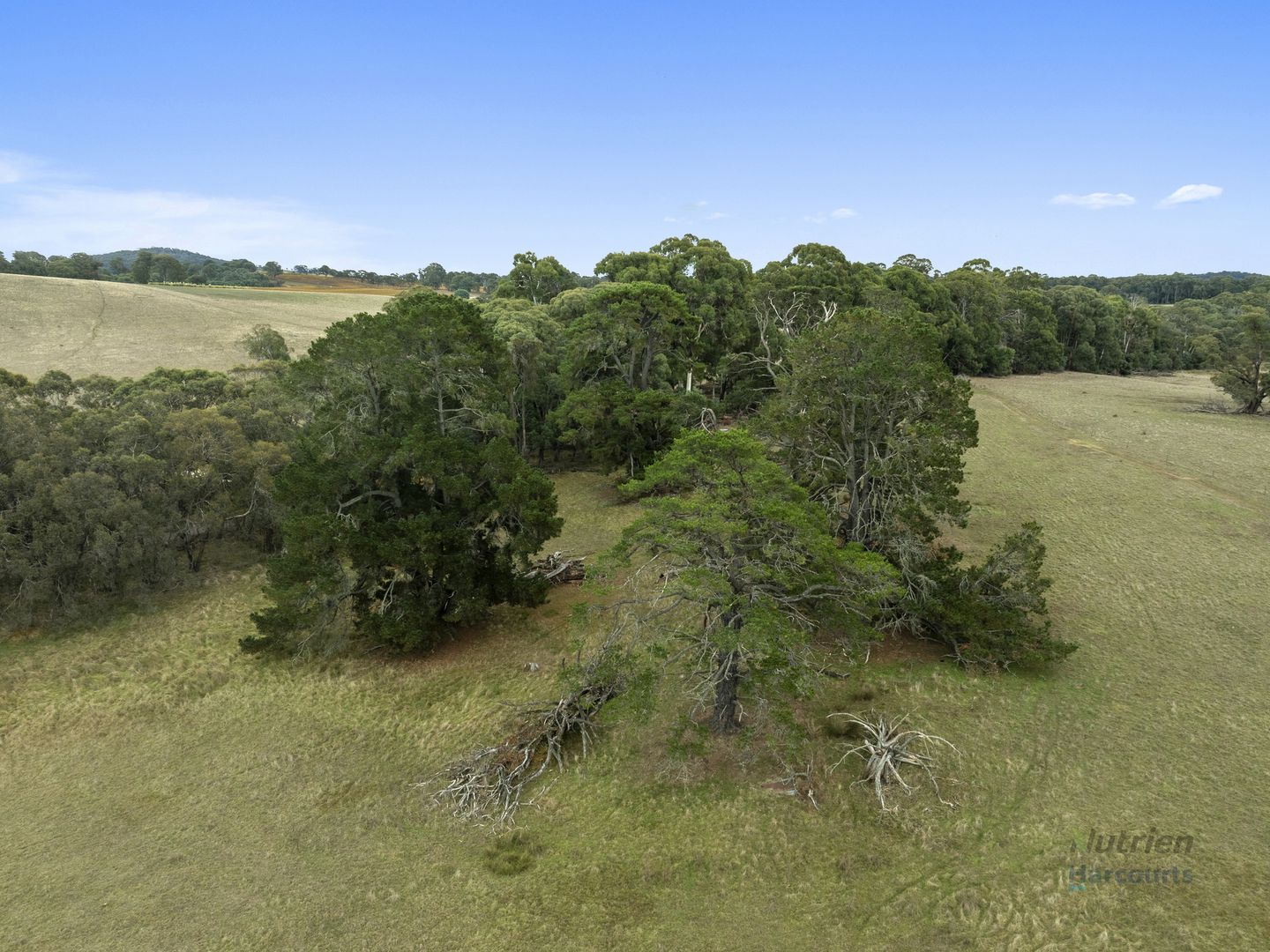 Lot 1 Ankers Road, Boho South VIC 3669, Image 2