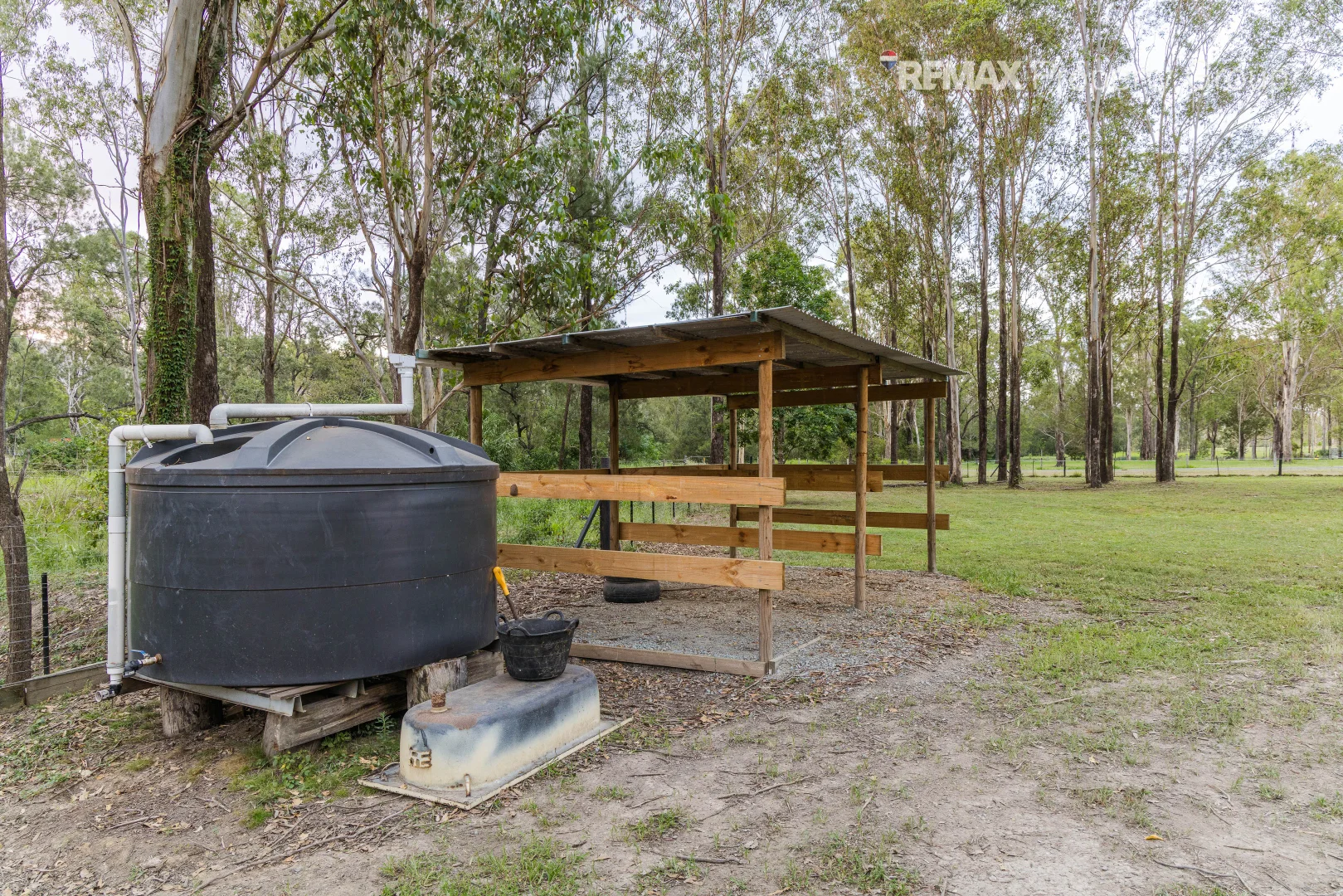 Image 15