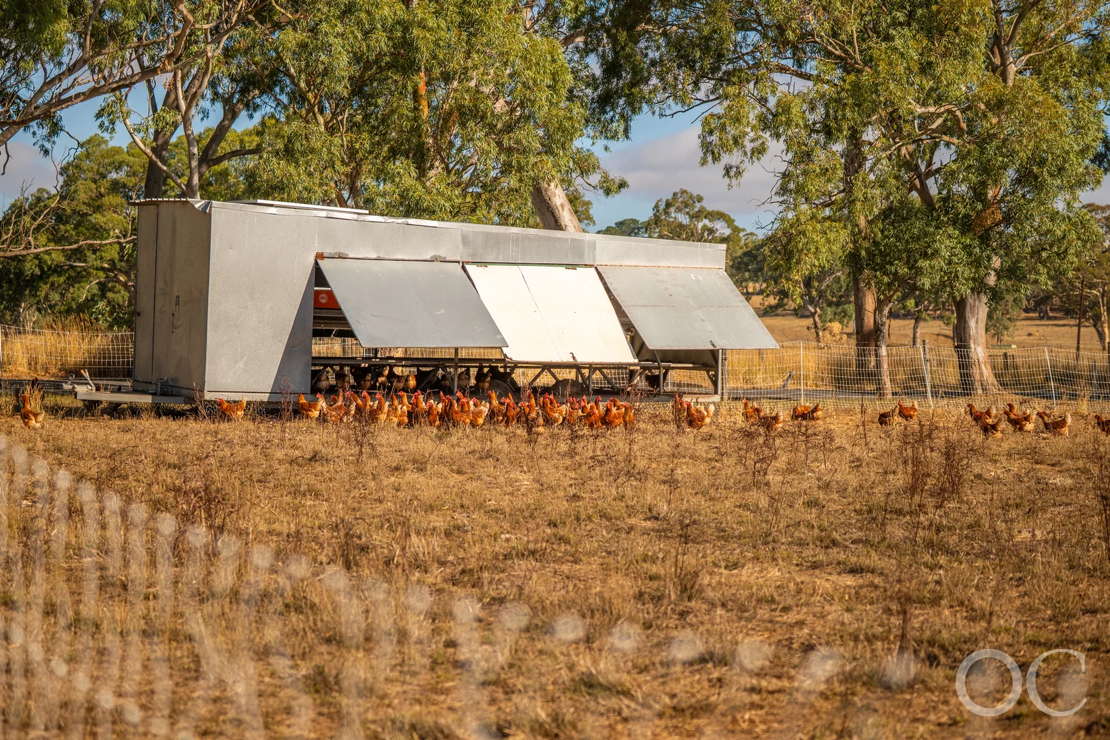 Additional image 22 of 30 Brookman Road, Meadows SA 5201