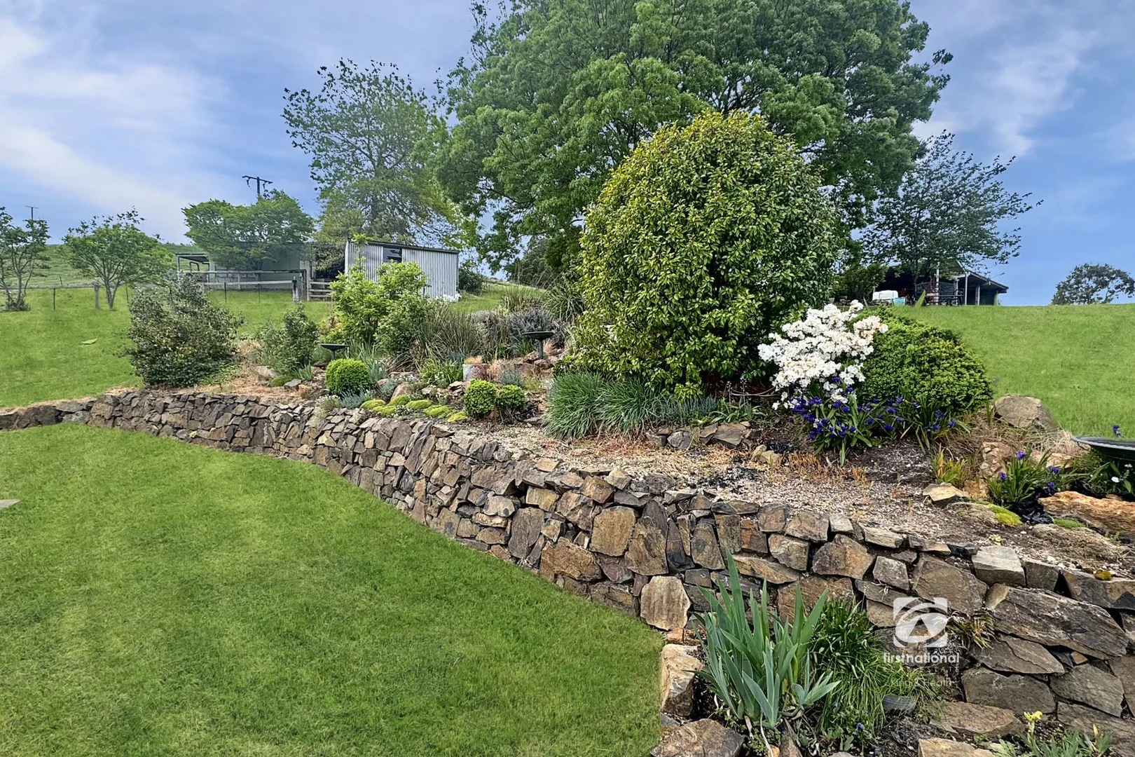 Image 15