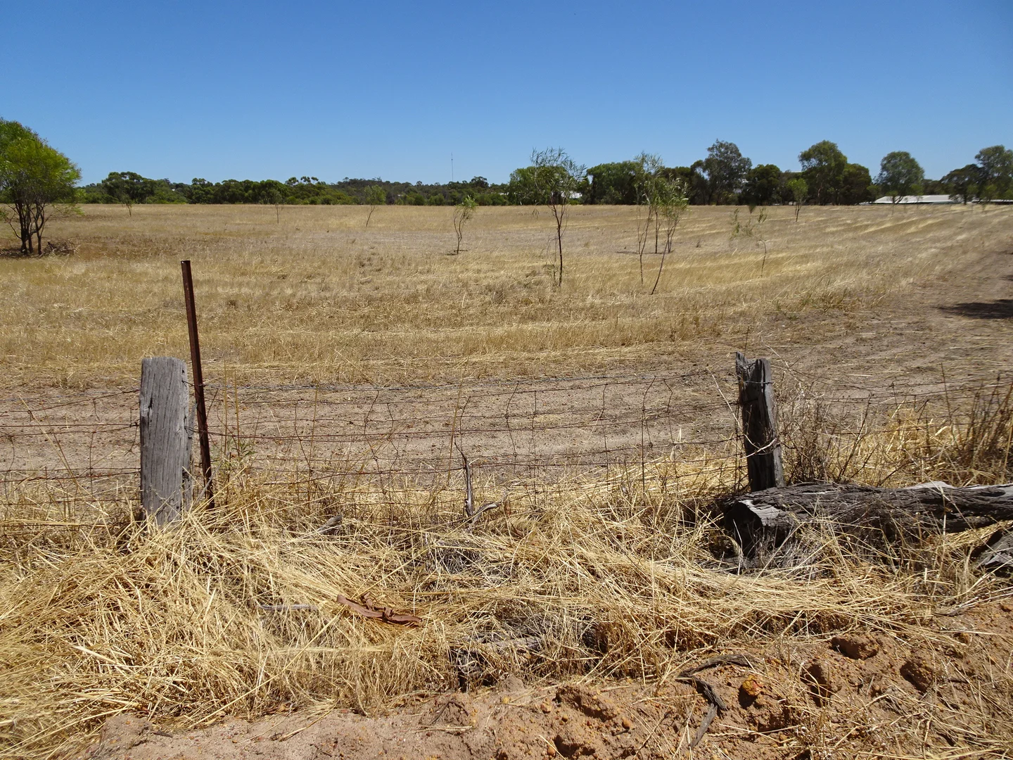 Additional image 16 of 5 Realm Street, Pingelly WA 6308