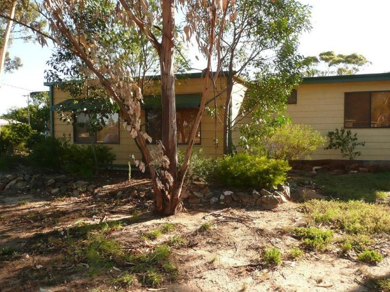 47 Spence Street, Ravensthorpe WA 6346 House For Rent 310 Domain