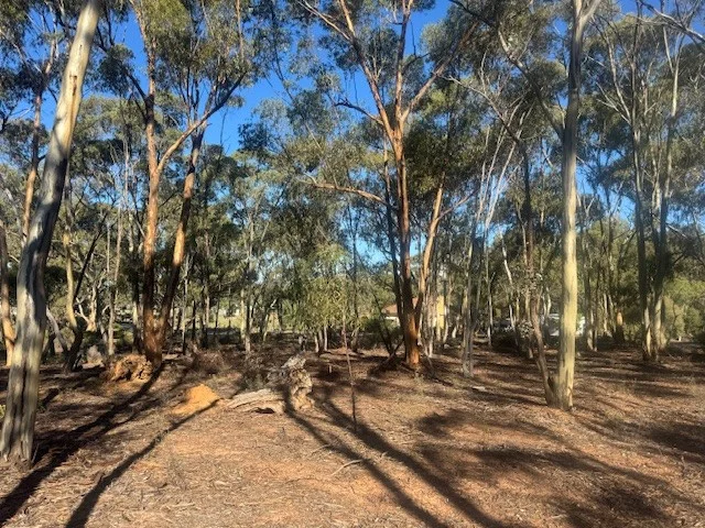 Image 10