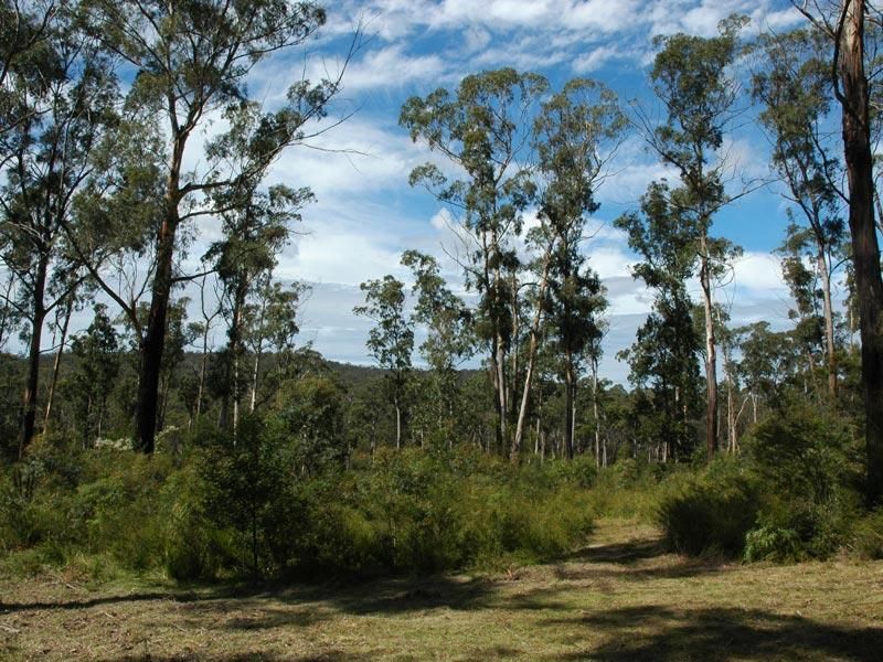 71 Maramingo Road, Maramingo Creek VIC 3891, Image 0