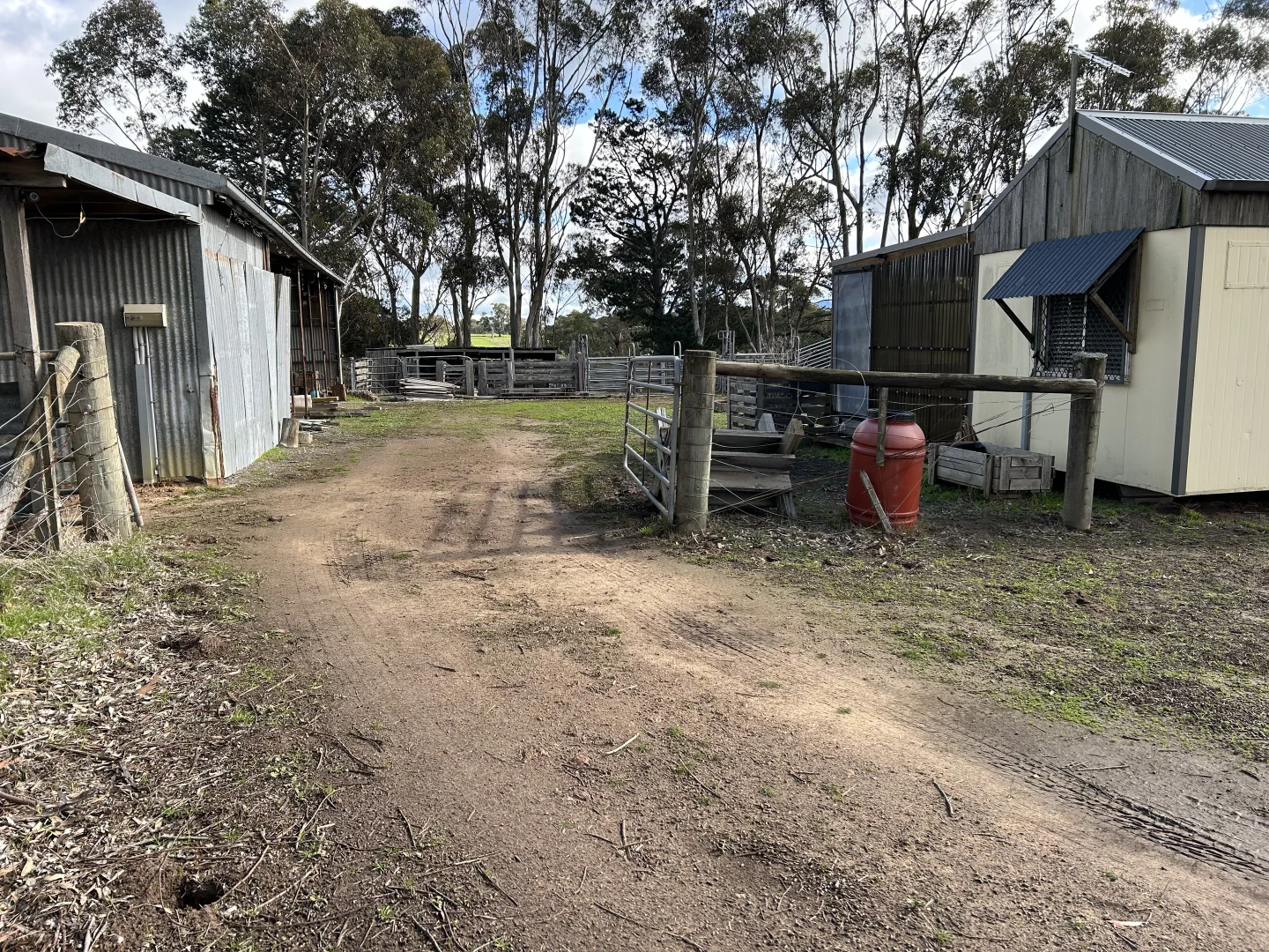 Image 21