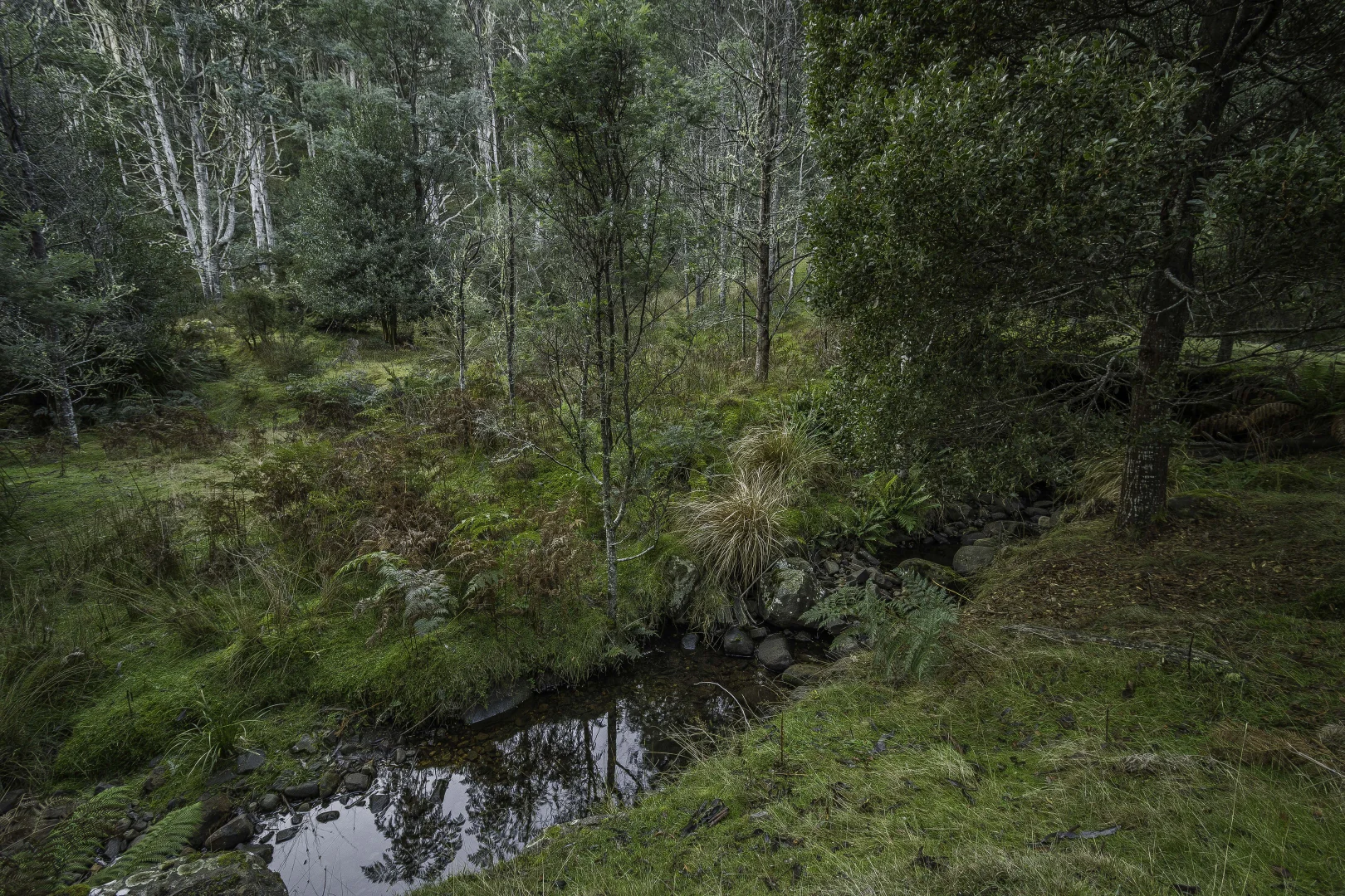 Image 21
