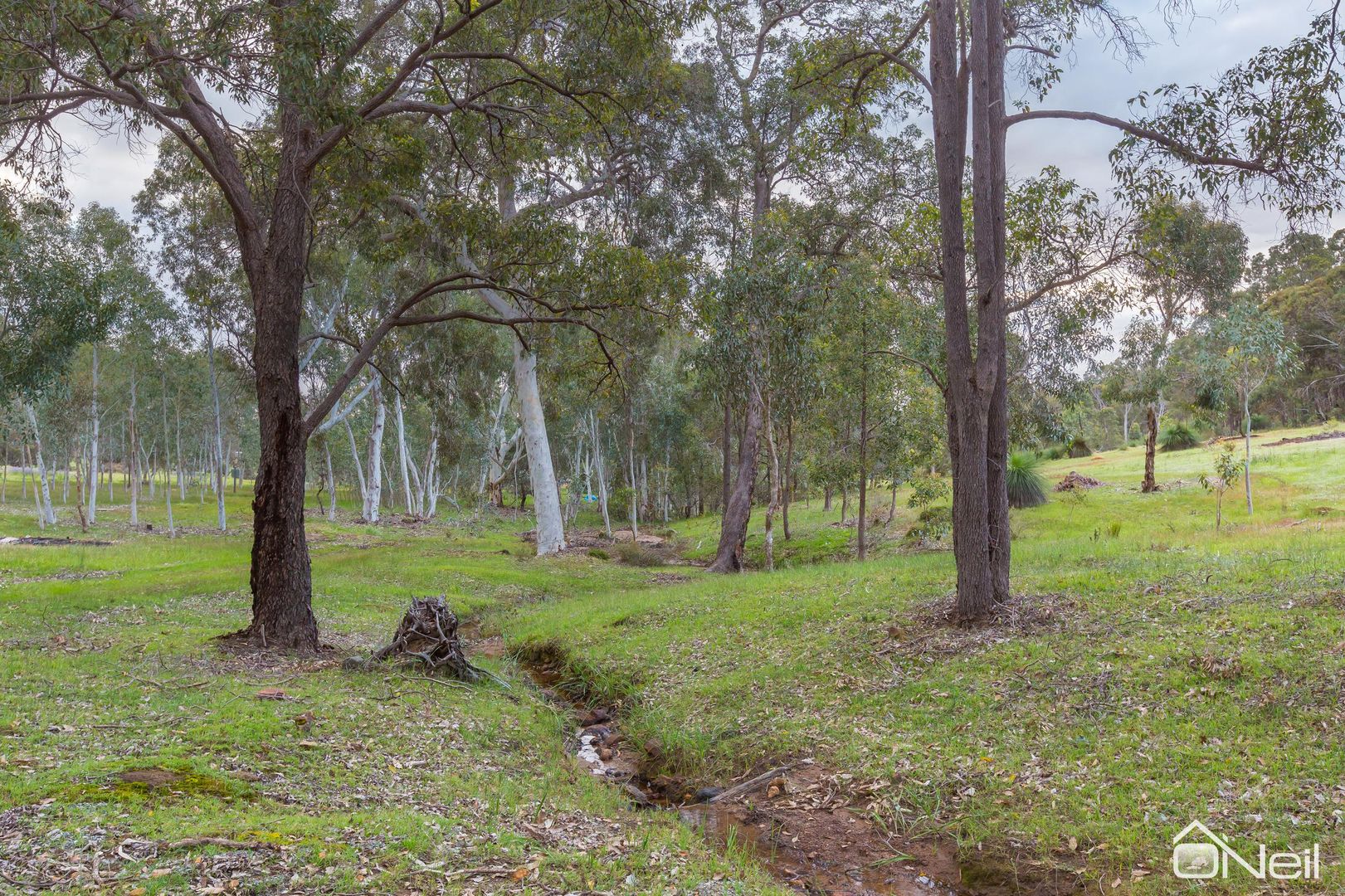 Lot 803 Brook Lookout, North Dandalup WA 6207, Image 2