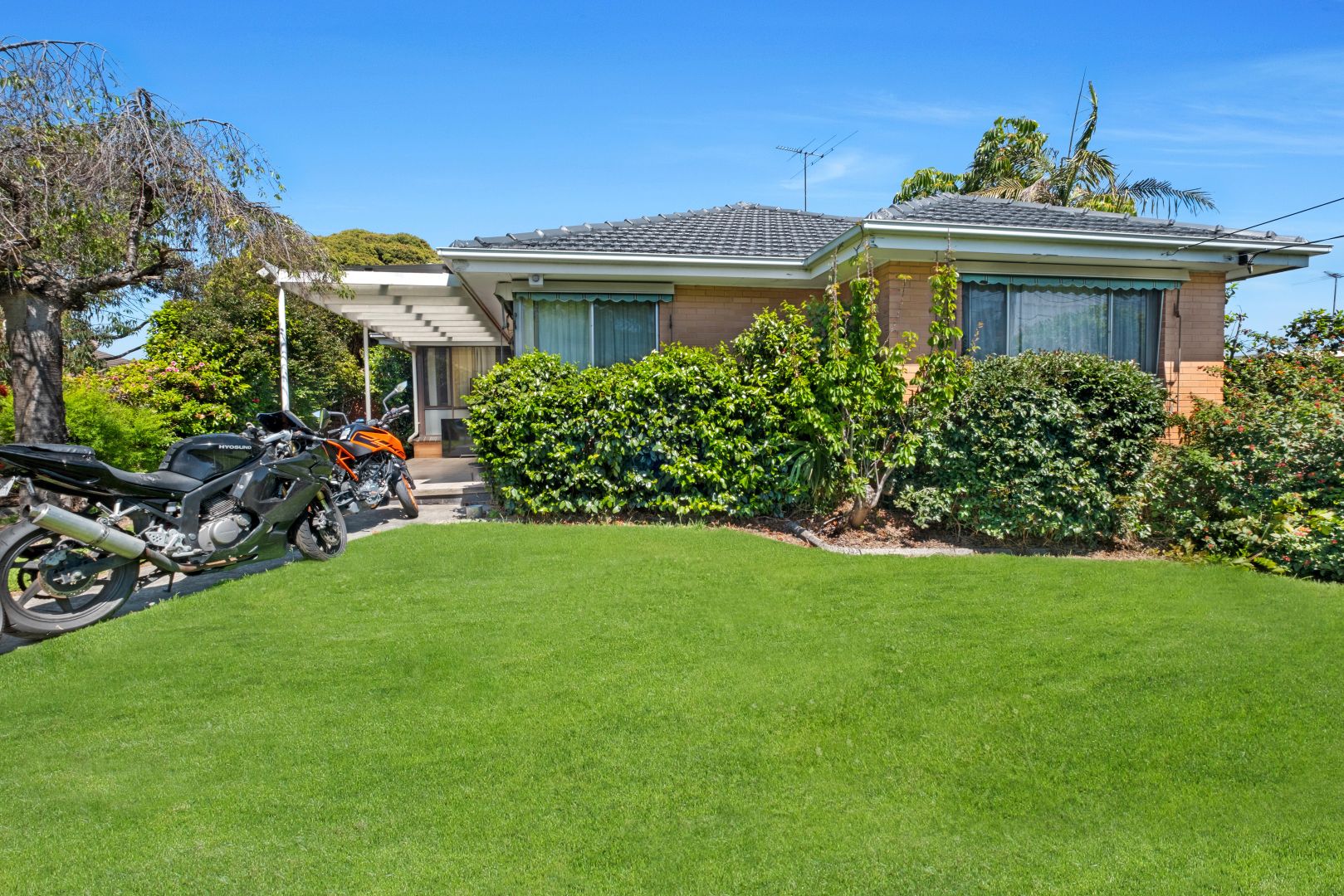 336 Burwood Highway, Burwood VIC 3125 House For Rent Domain