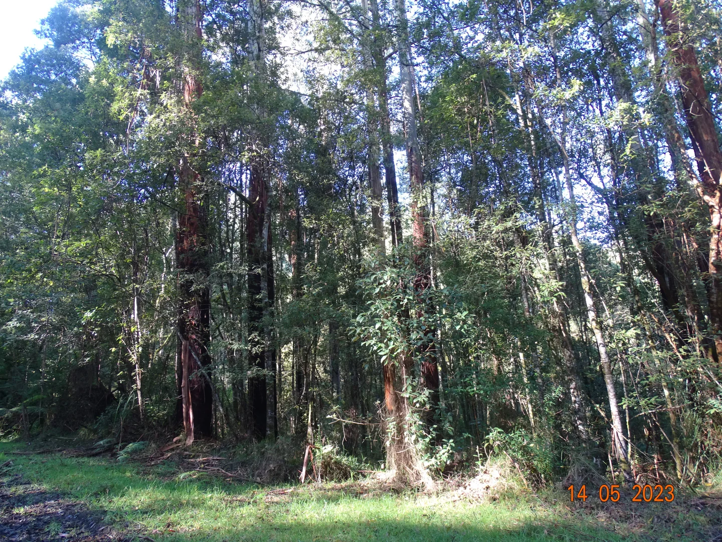 Image 13