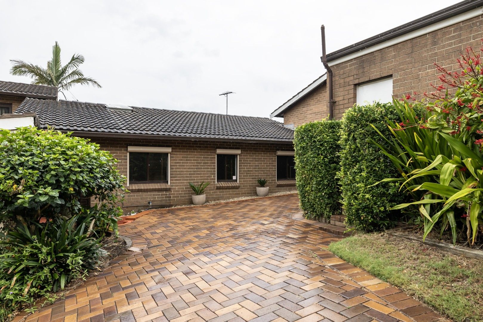 18/74 Wardell Road, Earlwood NSW 2206 House For Rent Domain