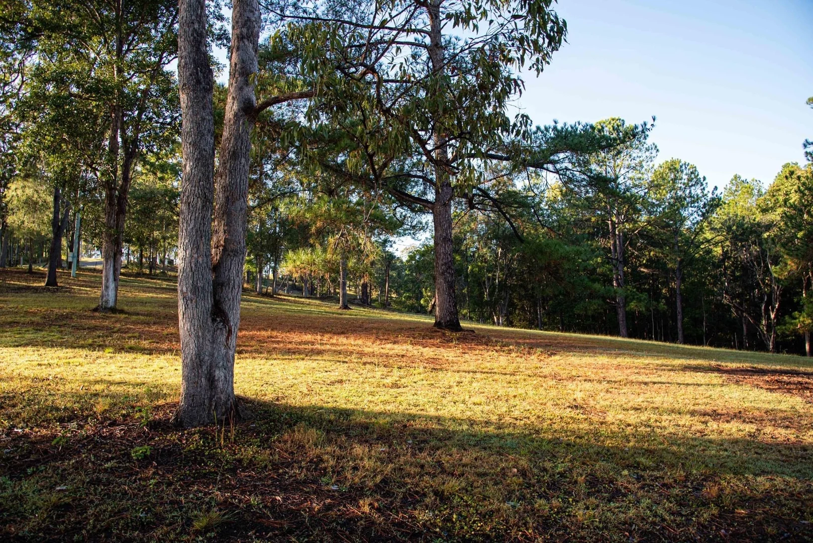 Additional image 5 of 62 Old Mill Road, Carters Ridge QLD 4563