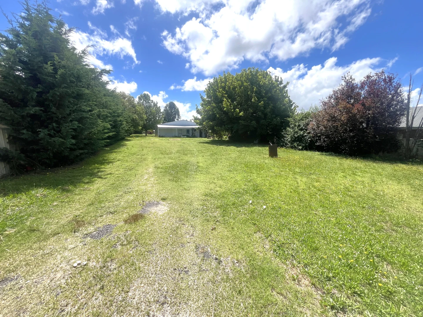 Image 8
