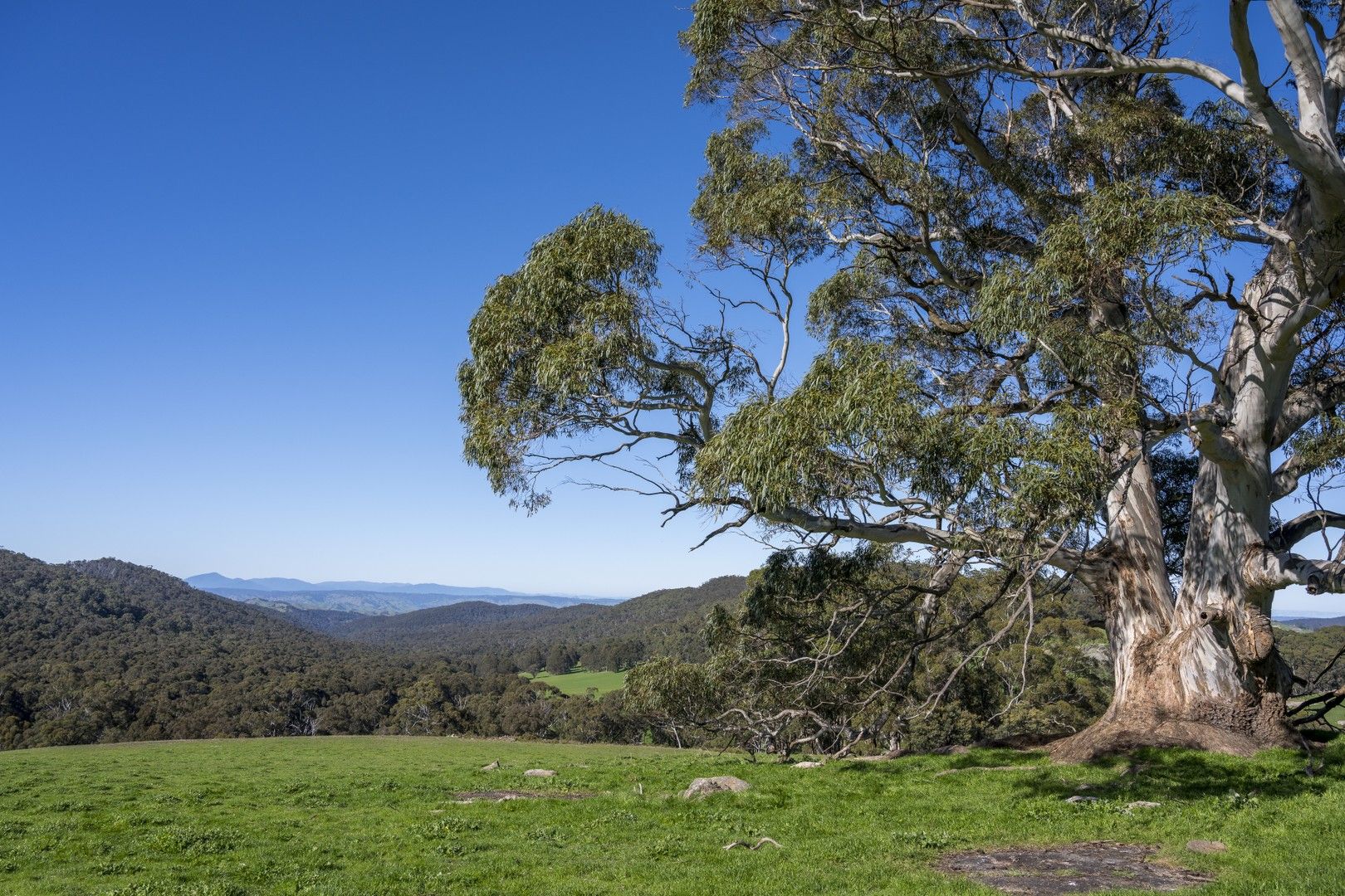 455 Tames Road, Strathbogie VIC 3666 House for Sale Domain