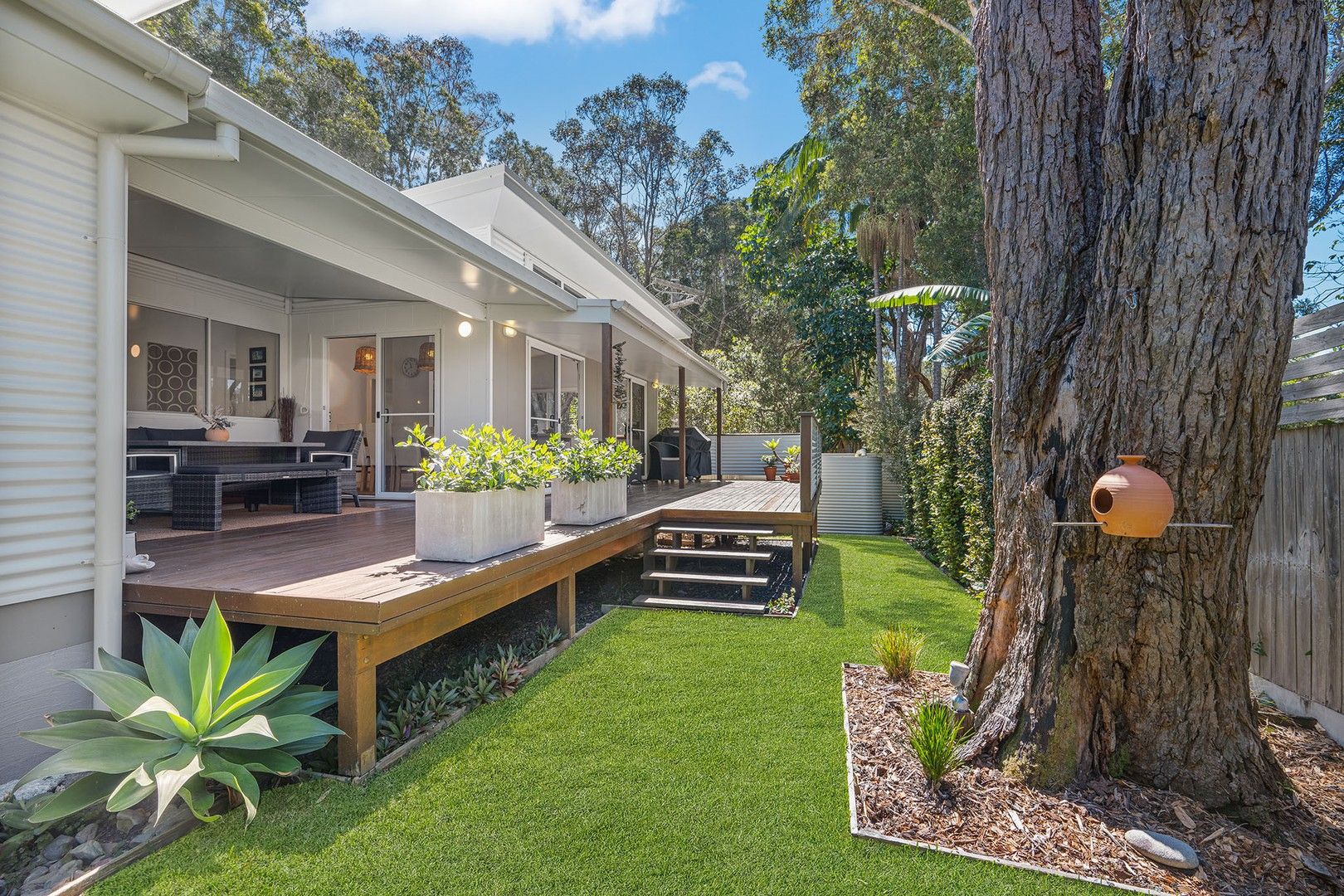 1006 Ocean Drive, Bonny Hills NSW 2445 Domain