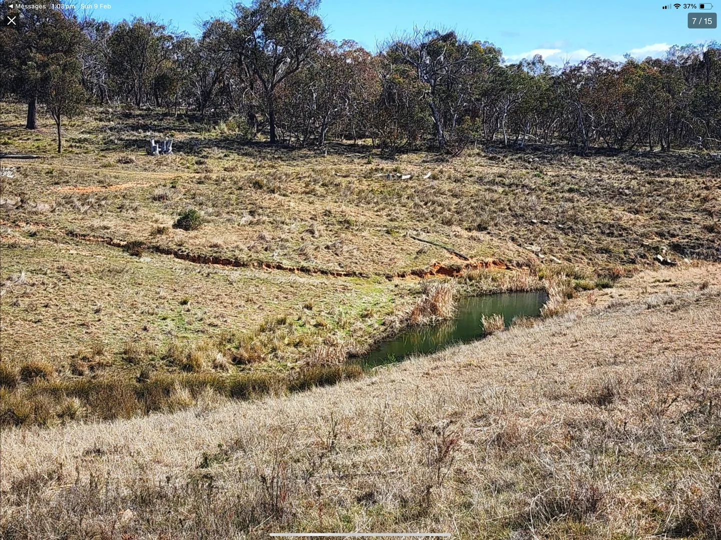 Image 12