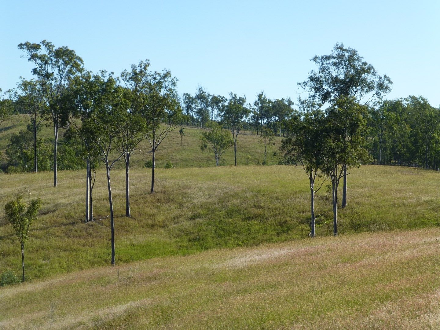 Dallarnil QLD 4621, Image 0