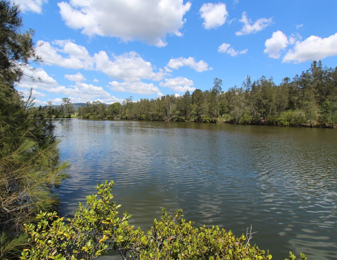 Coolongolook NSW 2423 6 beds house for Sale, 1,299,000 2013223212