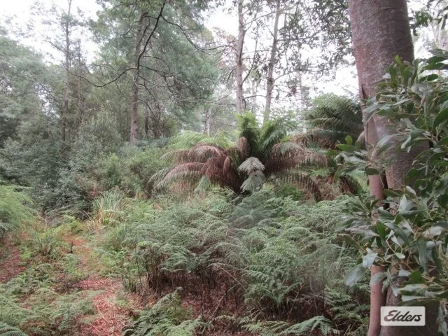 Image 9