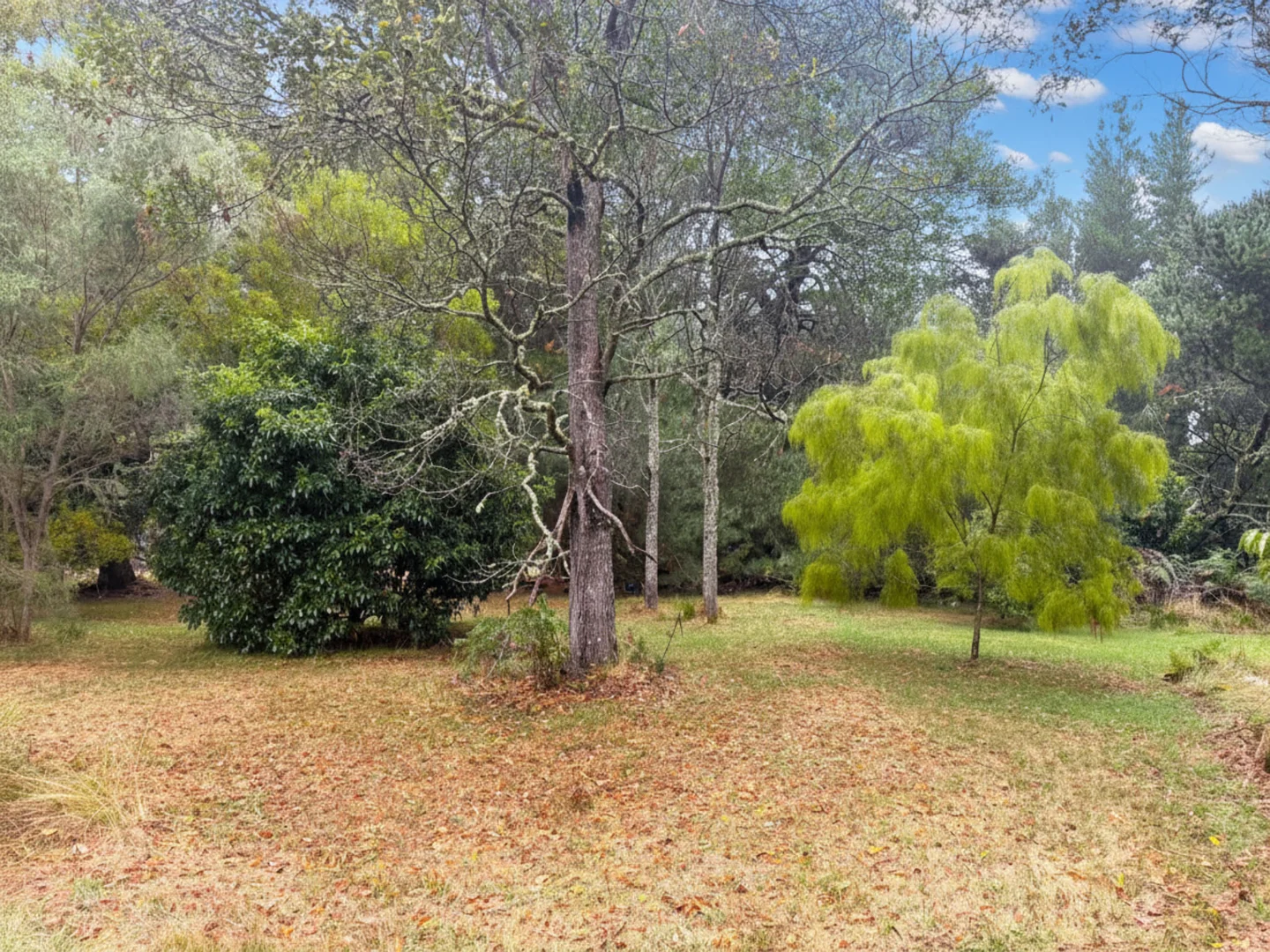 Additional image 11 of 4905 Princes Highway, Greenwald VIC 3304