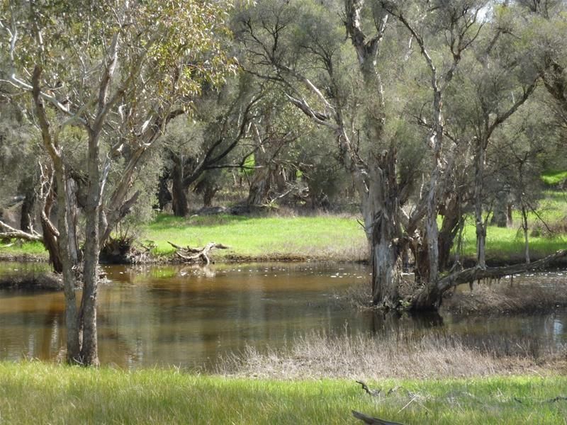 Lot 2 Twin Bridges, Crossman WA 6390, Image 1